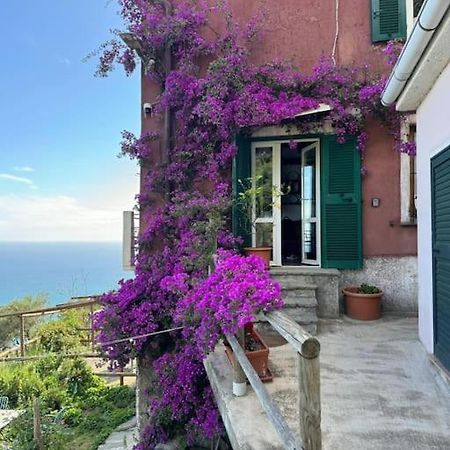 베르나차 Amazing Flat At The Heart Of 5 Terre National Park 아파트 외부 사진
