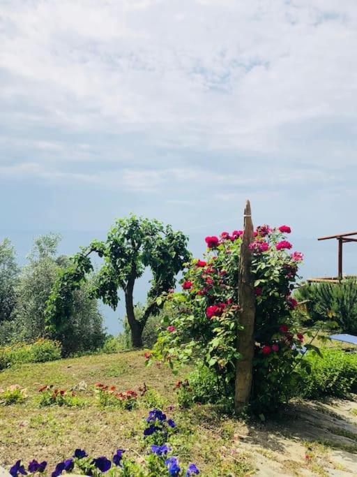 베르나차 Amazing Flat At The Heart Of 5 Terre National Park 아파트 외부 사진