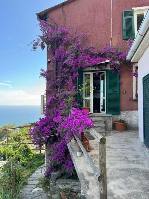 베르나차 Amazing Flat At The Heart Of 5 Terre National Park 아파트 외부 사진